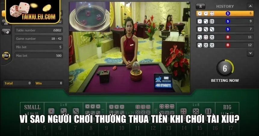 Lý do newbie thường thua khi chơi Tài Xỉu